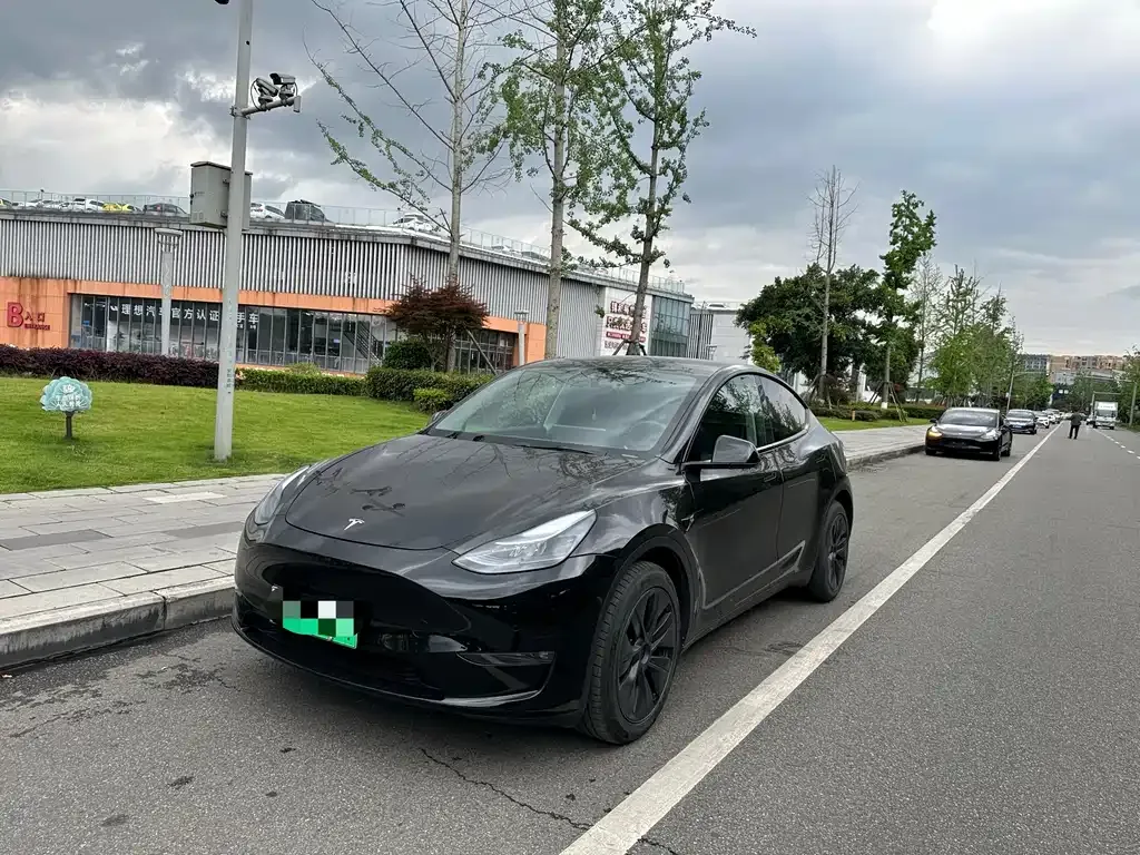 Tesla Model Y — фото 1