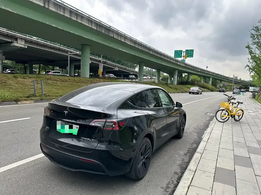 Tesla Model Y — фото 9