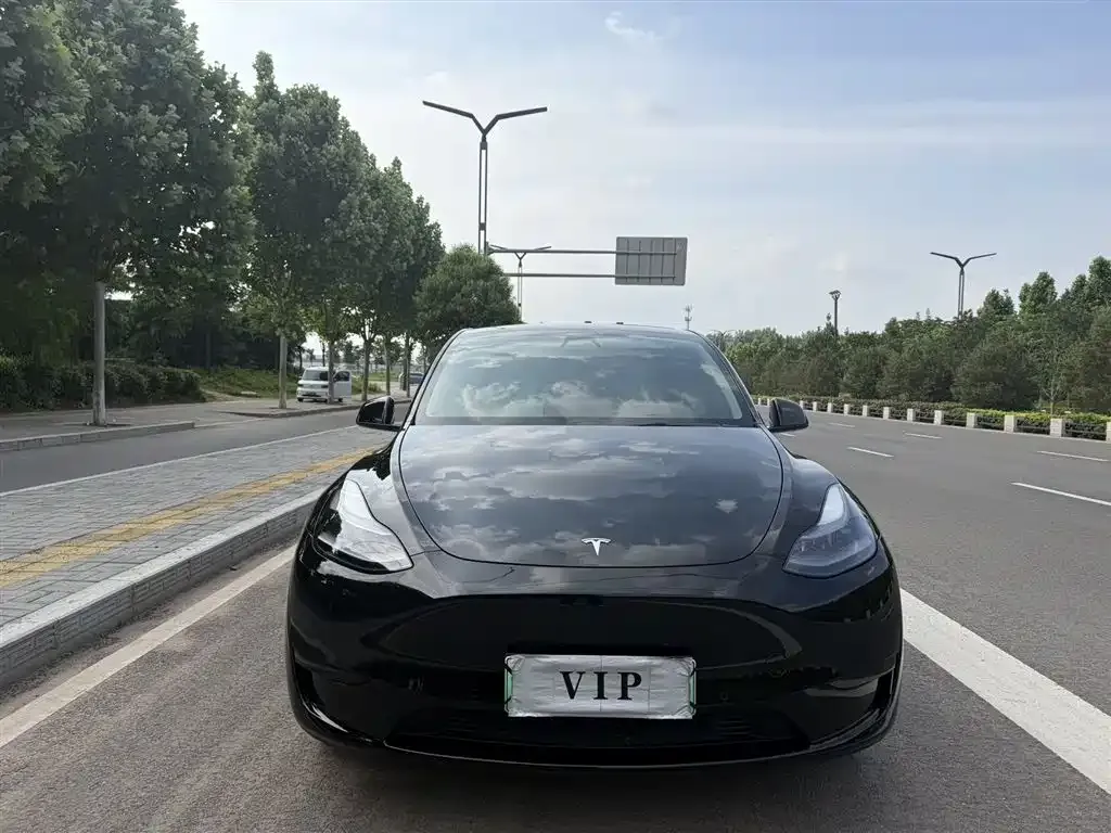 Tesla Model Y — фото 3