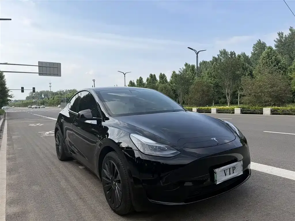 Tesla Model Y — фото 4