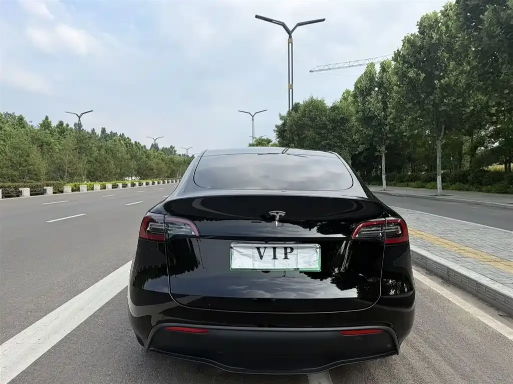Tesla Model Y — фото 5