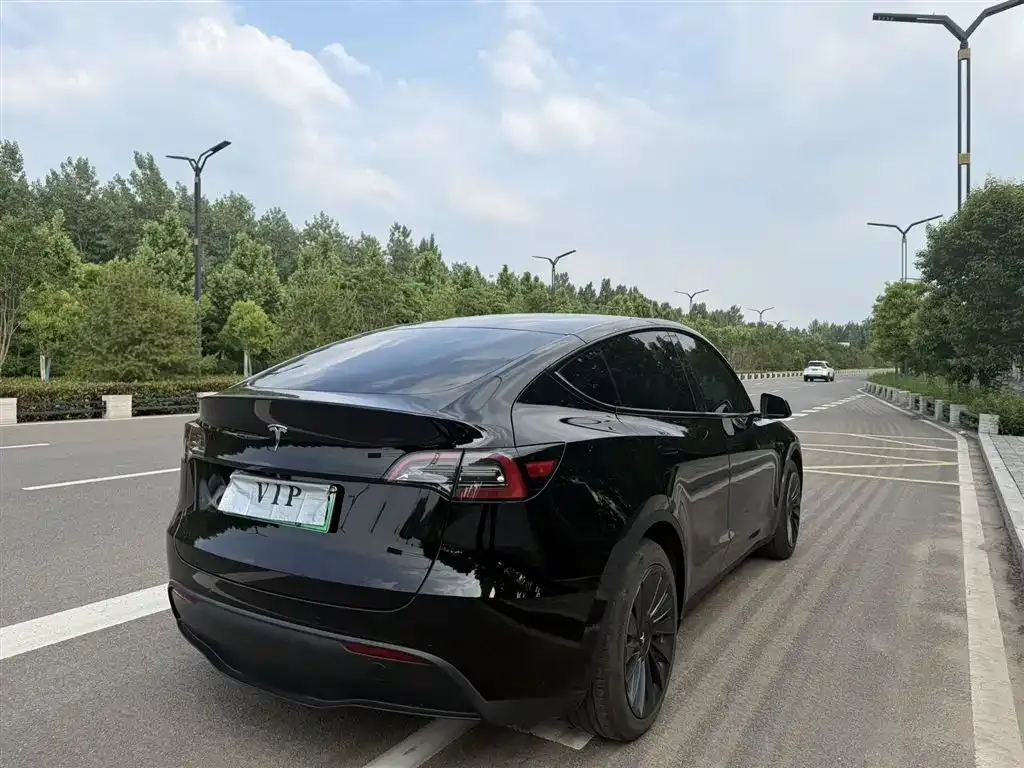 Tesla Model Y — фото 8