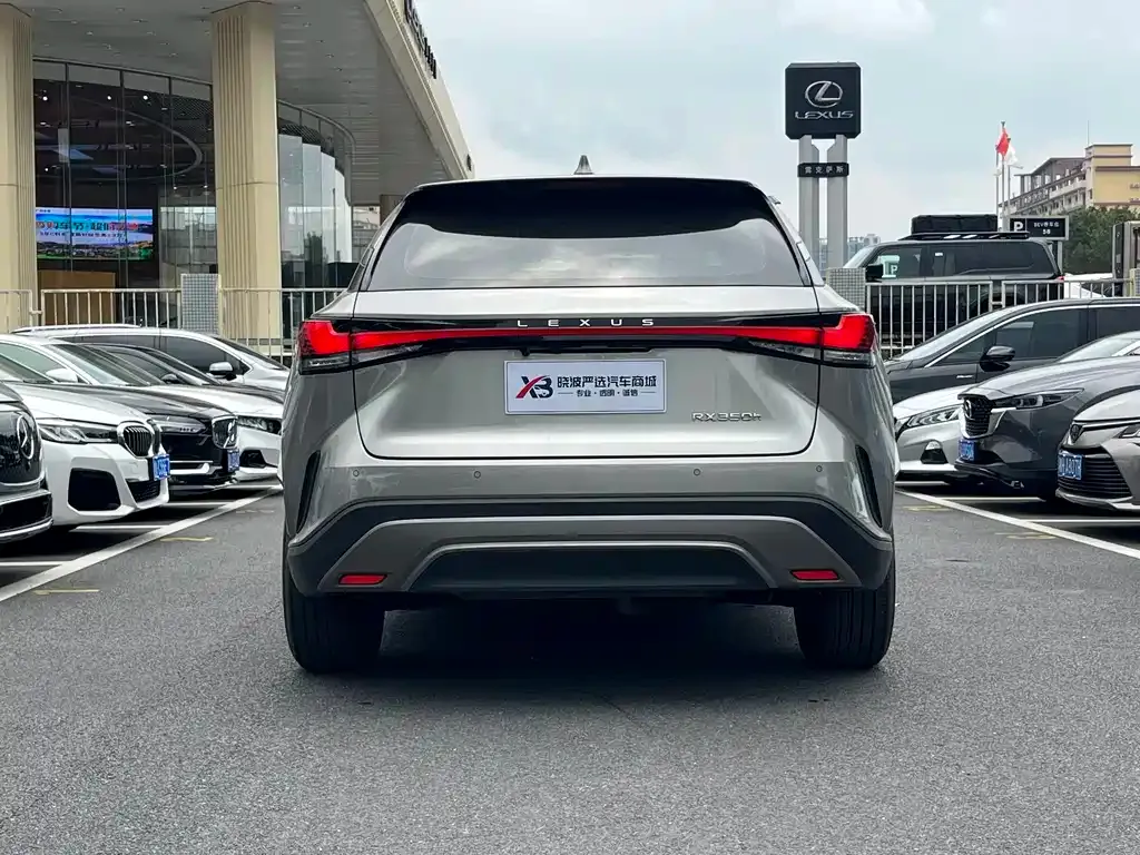 Lexus RX — фото 9