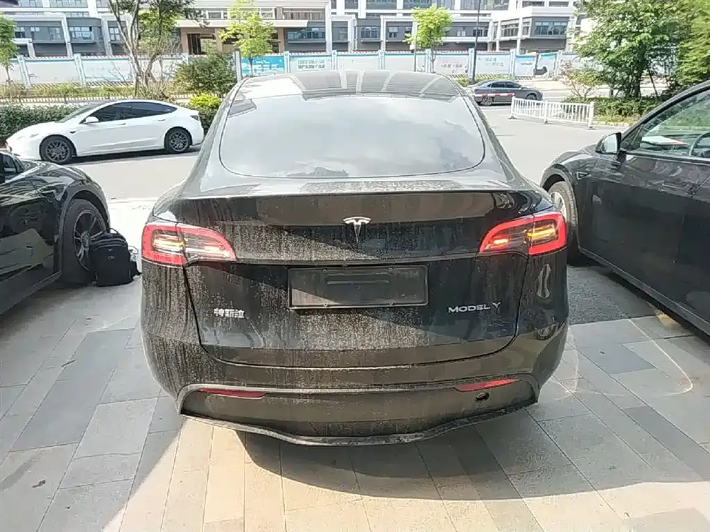 Tesla Model Y — фото 3