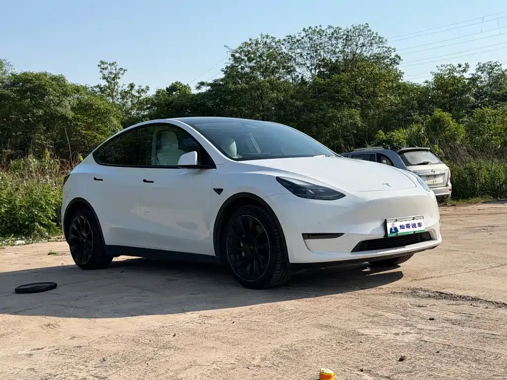 Tesla Model Y — фото 9