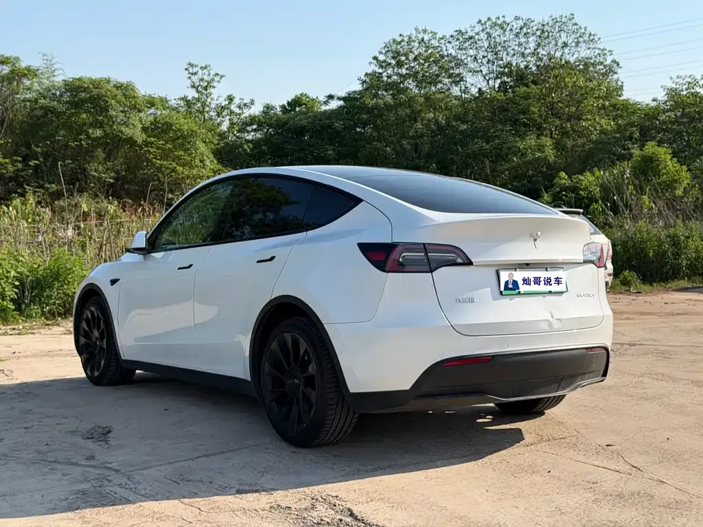 Tesla Model Y — фото 4