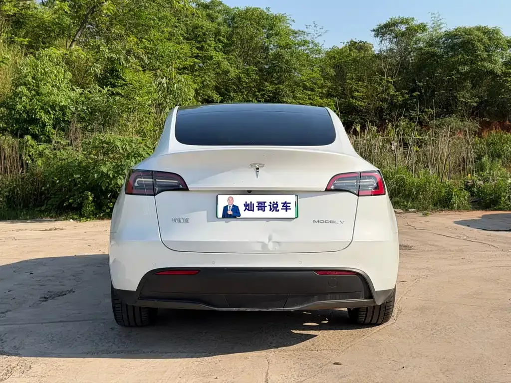Tesla Model Y — фото 6