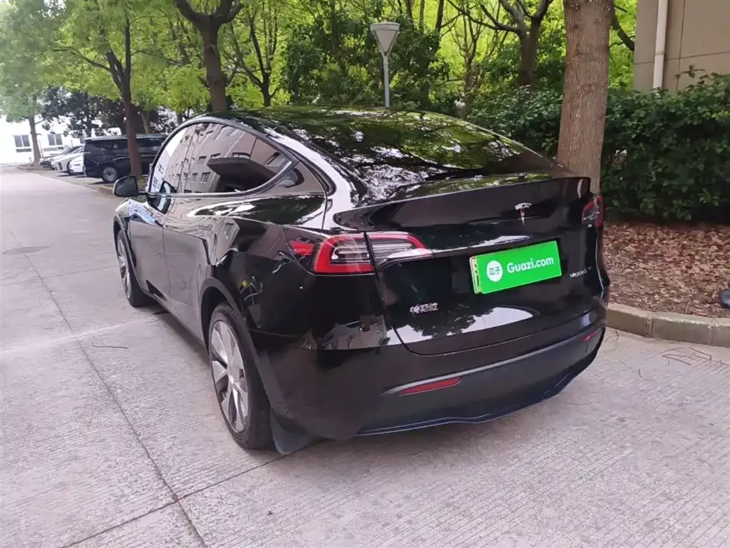 Tesla Model Y — фото 2
