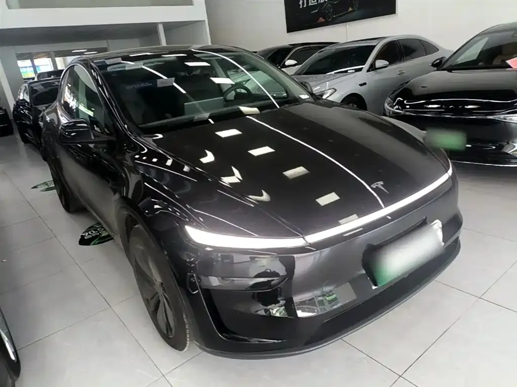 Tesla Model Y — фото 10