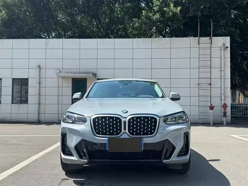 BMW X4 2022 из CN, фото 6
