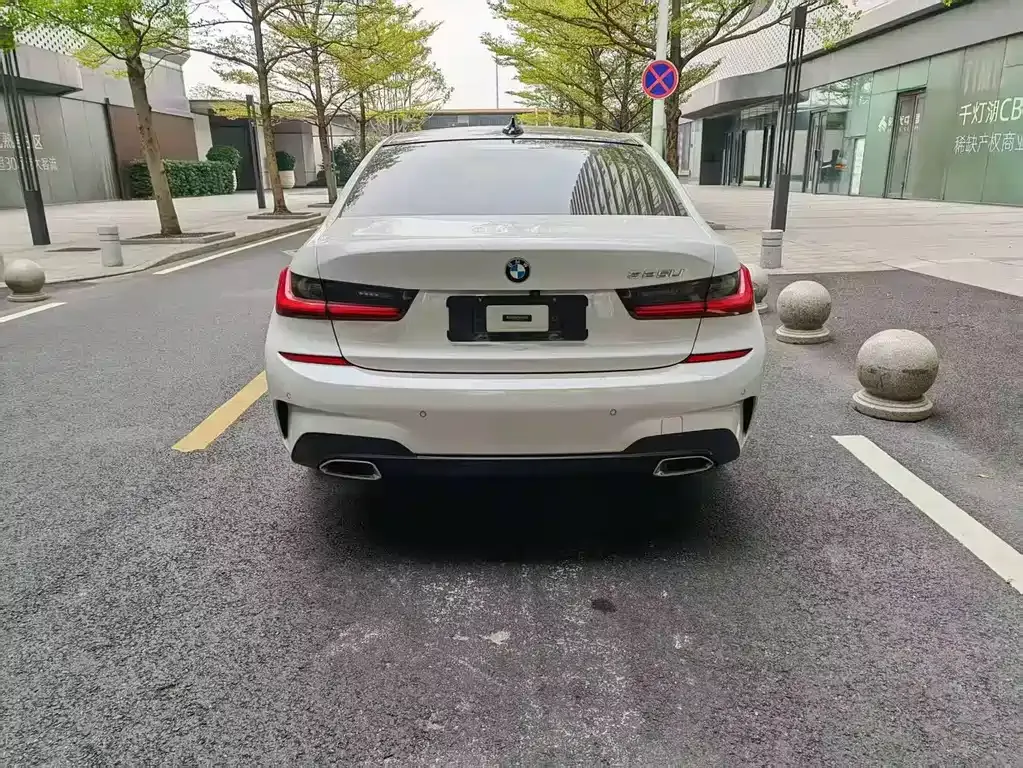 BMW 3 Series 2021 из CN, фото 7