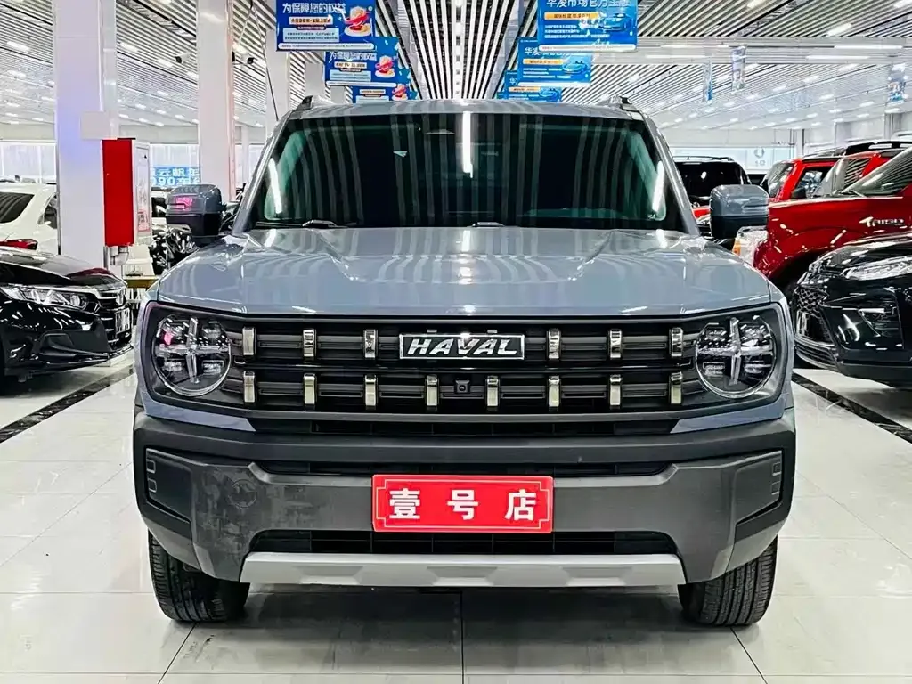 Haval Cool Dog 2023 из CN, фото 9