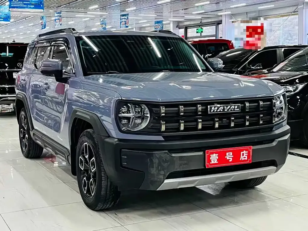 Haval Cool Dog 2023 из CN, фото 10