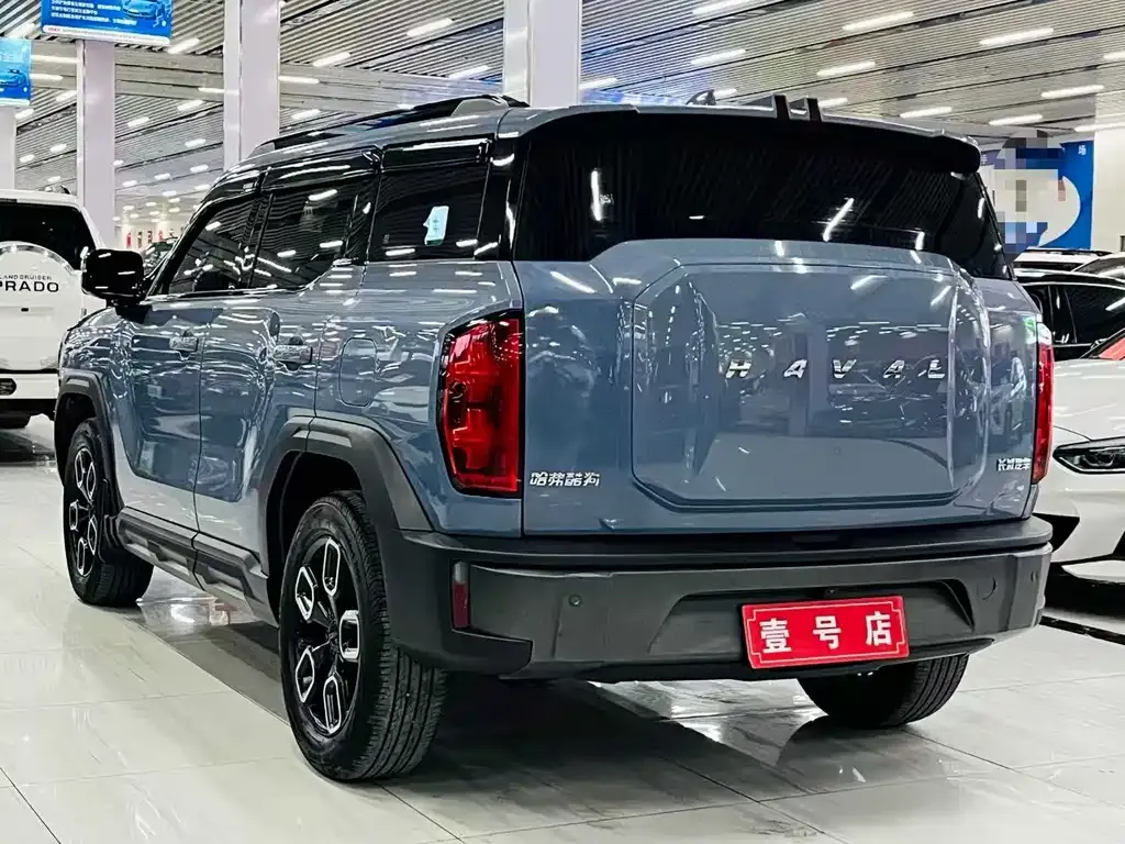 Haval Cool Dog 2023 из CN, фото 6
