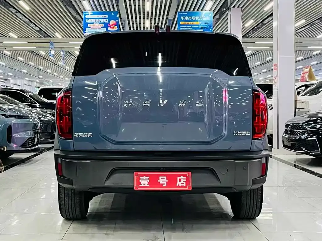 Haval Cool Dog 2023 из CN, фото 3
