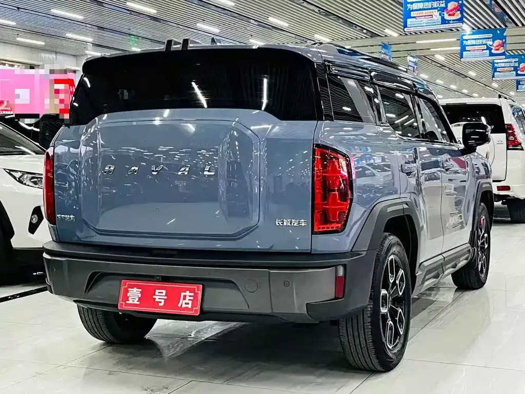 Haval Cool Dog 2023 из CN, фото 8