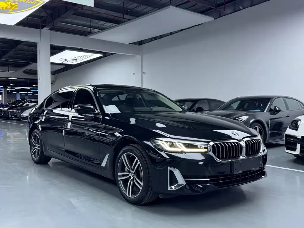 BMW 5 Series 2024 из CN, фото 6