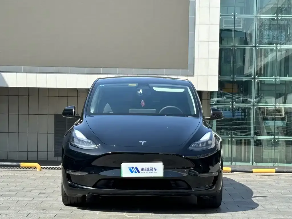 Tesla Model Y — фото 10