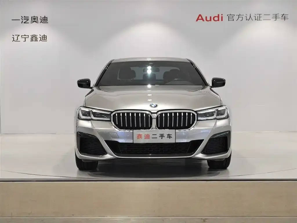 BMW 5 Series 2023 из CN, фото 2