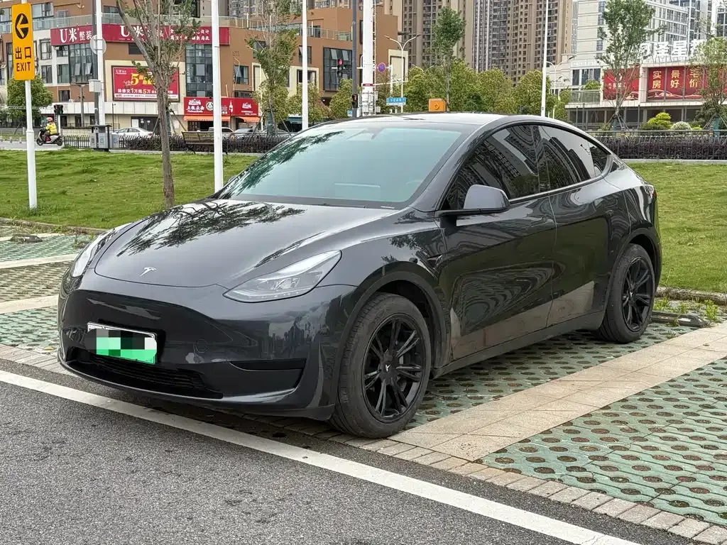 Tesla Model Y — фото 1