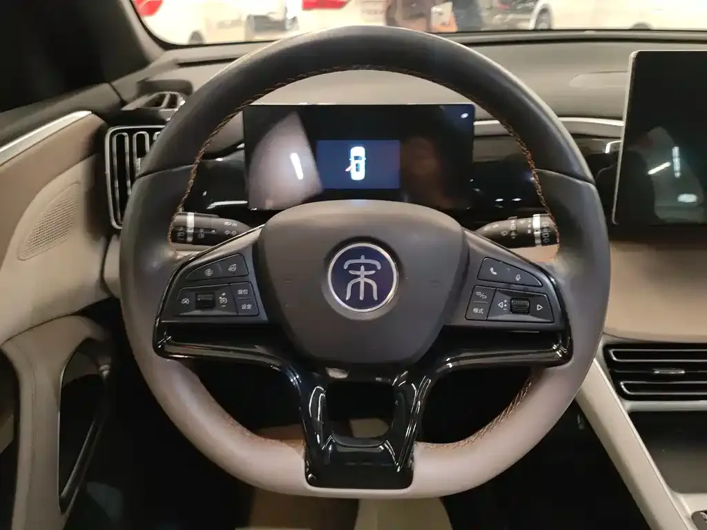 BYD Pro New Energy 2023 из CN, фото 8