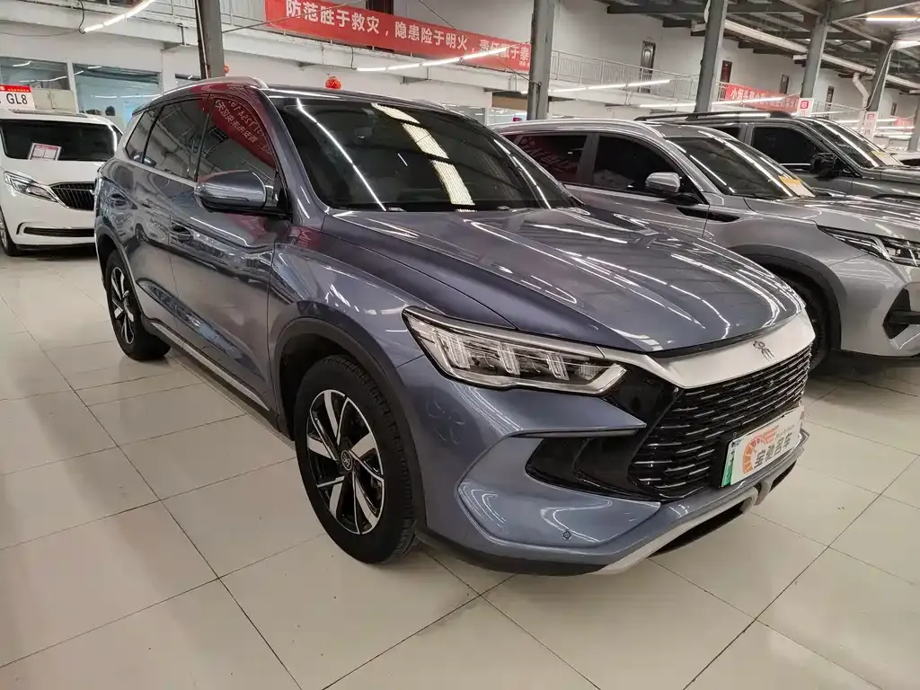 BYD Pro New Energy 2023 из CN, фото 6