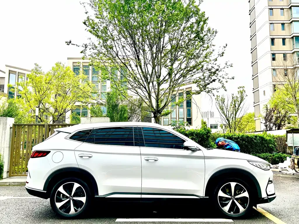 BYD PLUS New Energy — фото 7