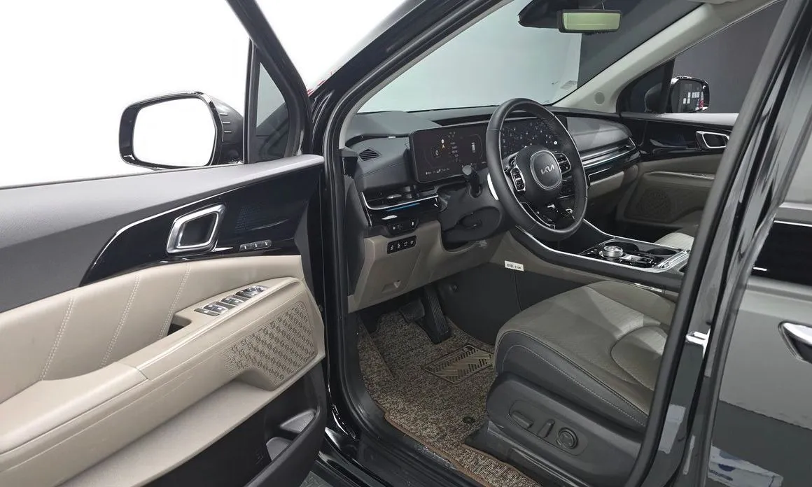 Kia Carnival — фото 10