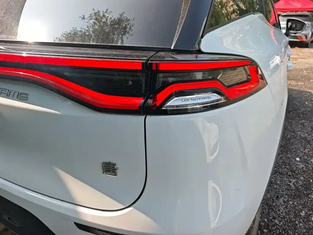 BYD Tang New Energy — фото 10
