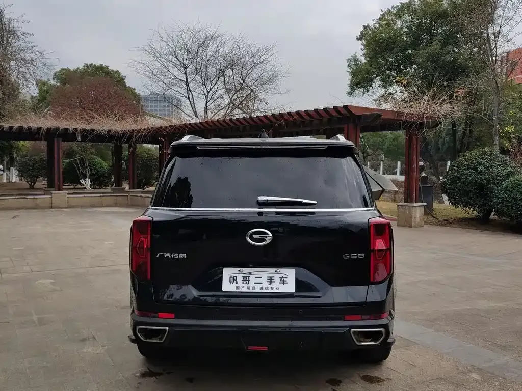 GAC Motor Trumpchi GS8 2023 из CN, фото 3