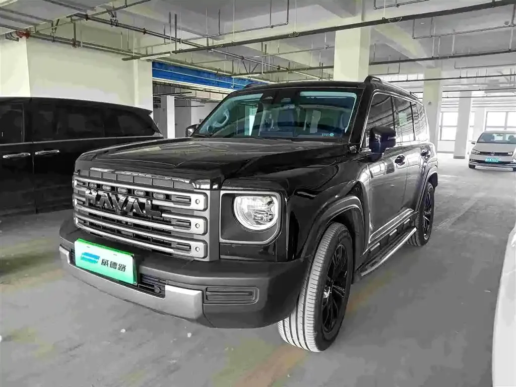 Haval Menglong New Energy — фото 1