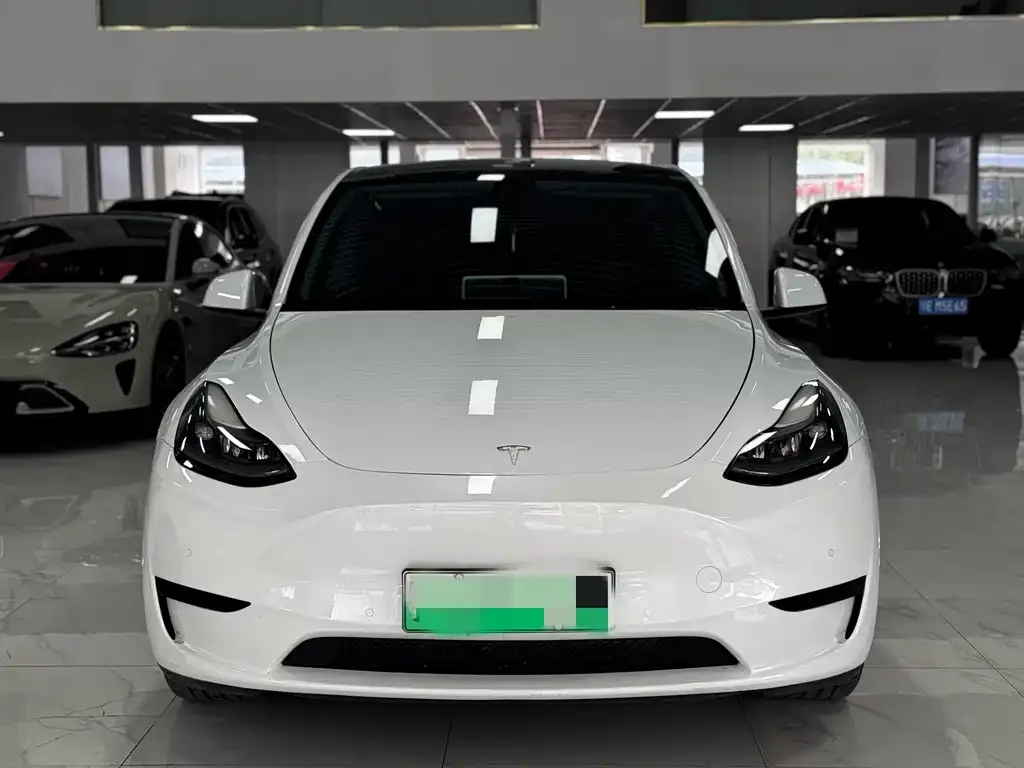 Tesla Model Y — фото 2