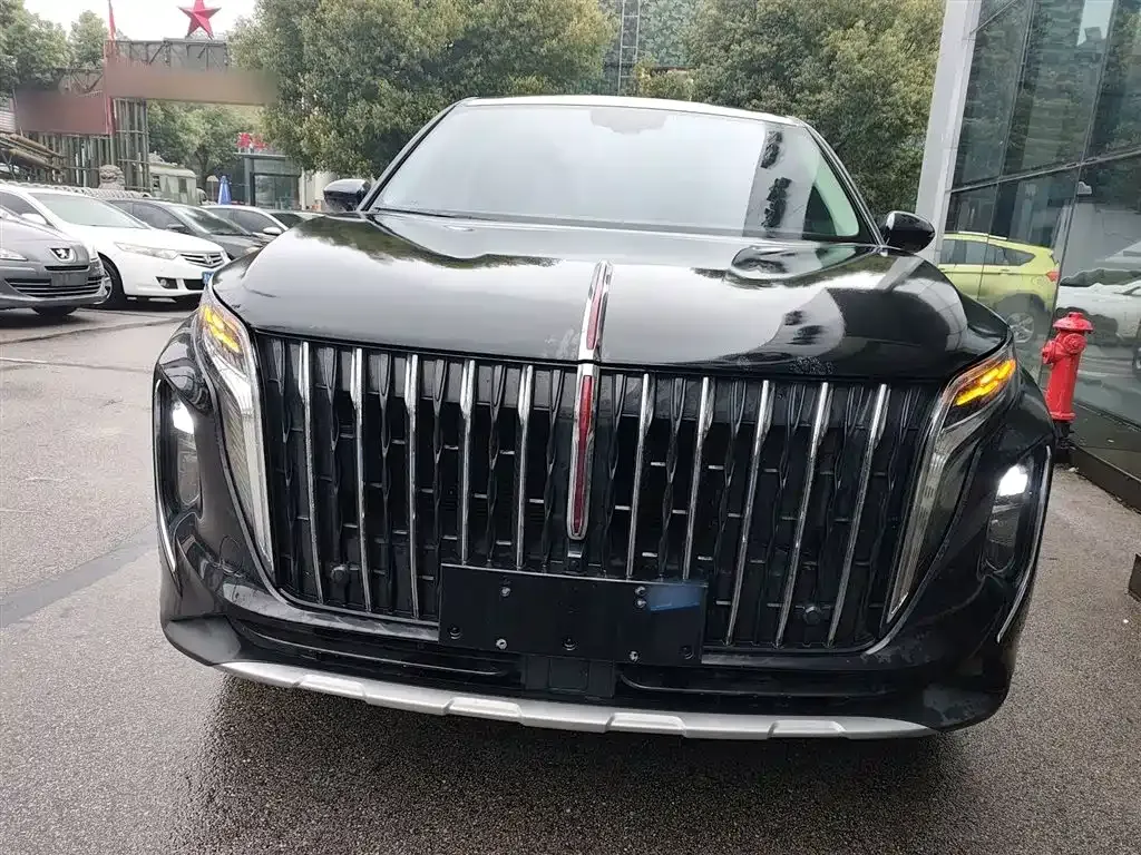 Hongqi HS7 2025 из CN, фото 8