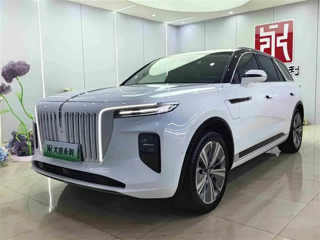 Hongqi E-HS9 — фото 1