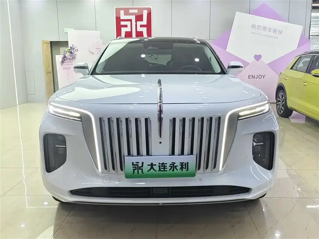 Hongqi E-HS9 — фото 4