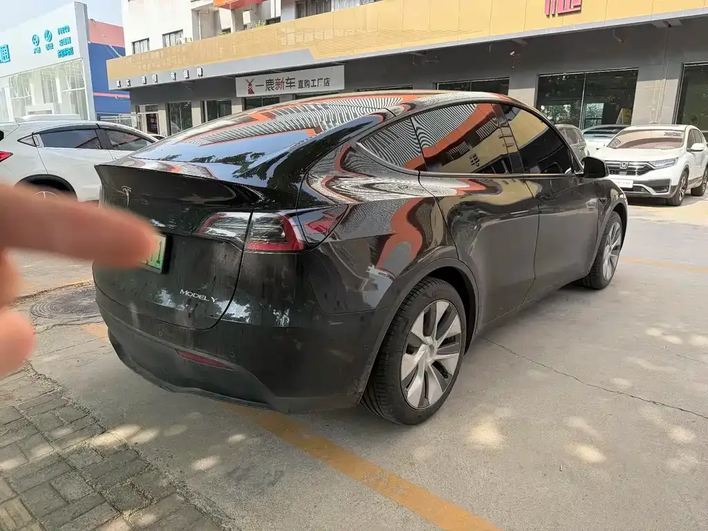 Tesla Model Y — фото 2