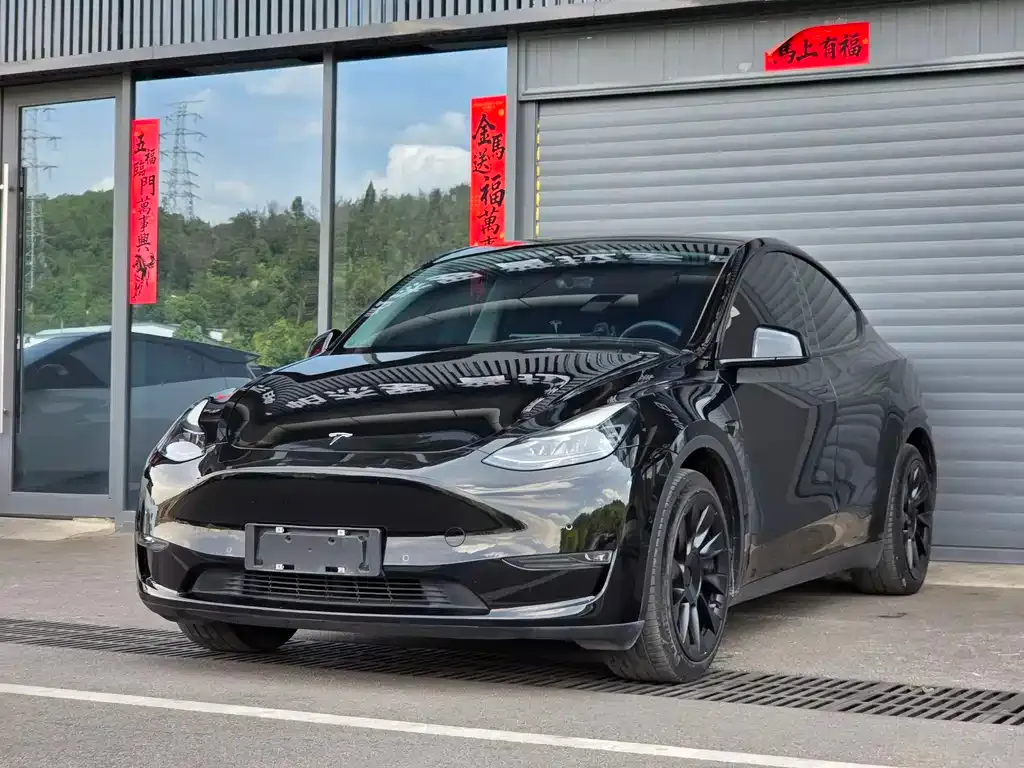 Tesla Model Y — фото 1