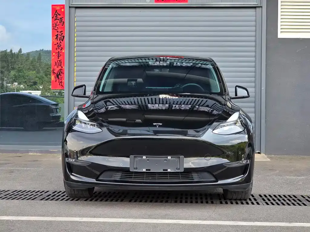 Tesla Model Y — фото 10