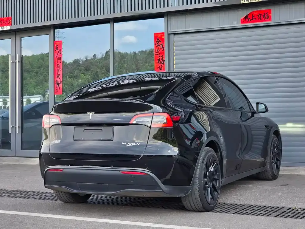 Tesla Model Y — фото 5