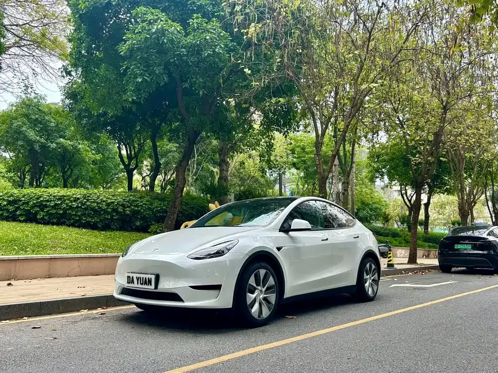 Tesla Model Y — фото 1