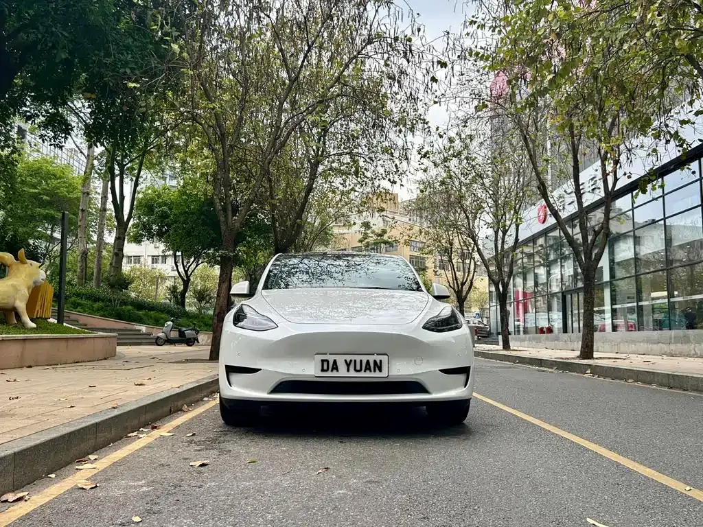 Tesla Model Y — фото 3
