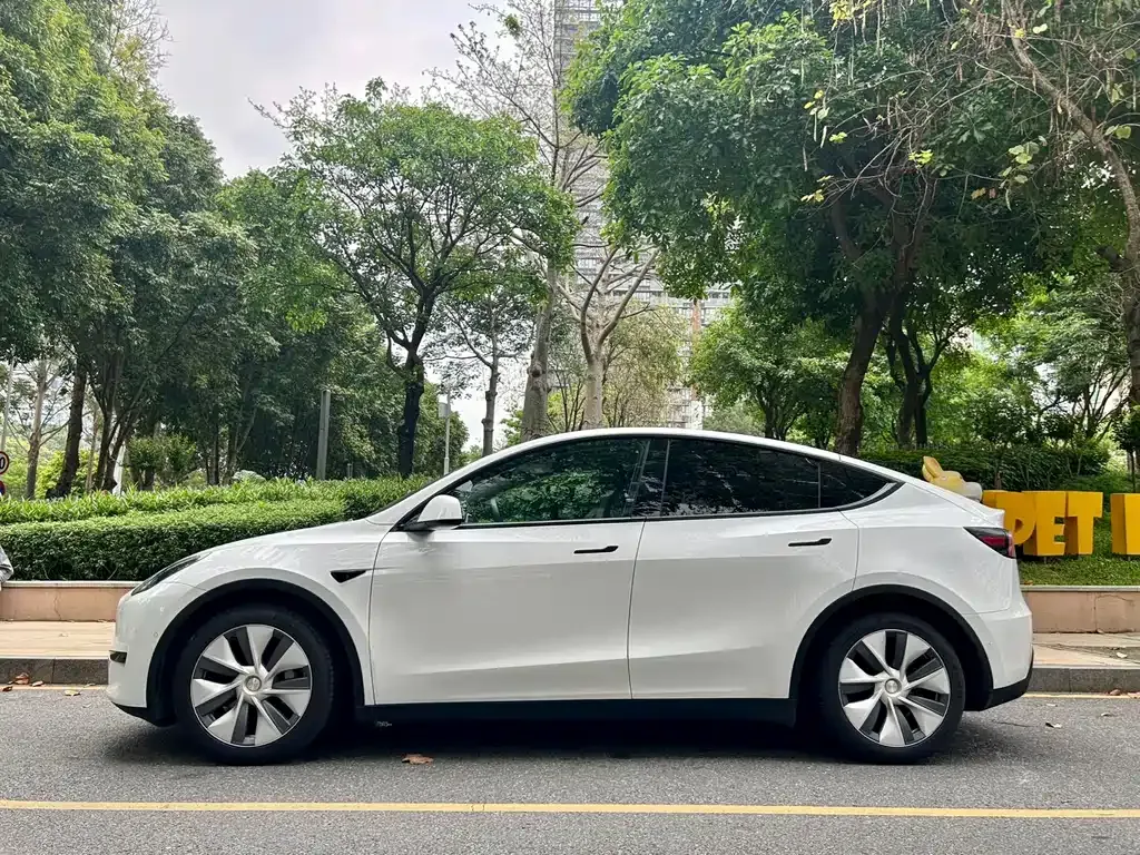 Tesla Model Y — фото 4