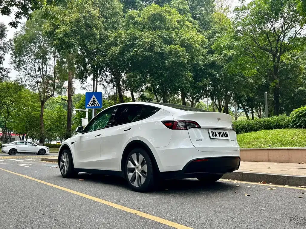 Tesla Model Y — фото 9