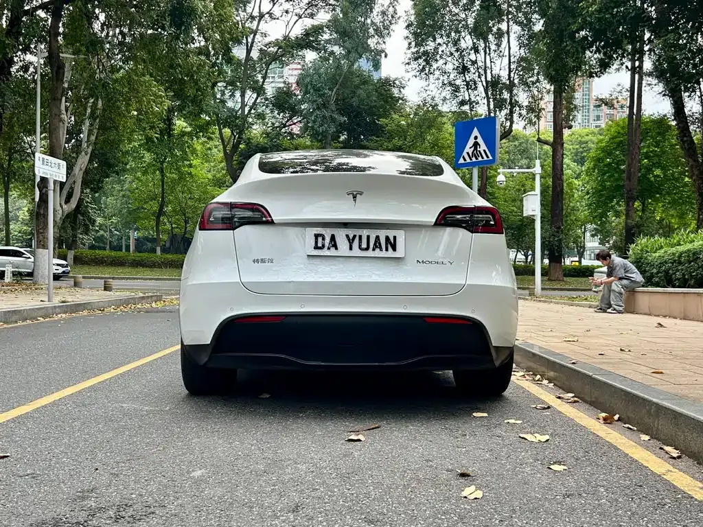 Tesla Model Y — фото 6