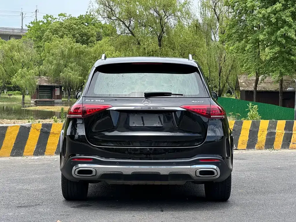 Mercedes-Benz 奔驰GLE(进口) — фото 4