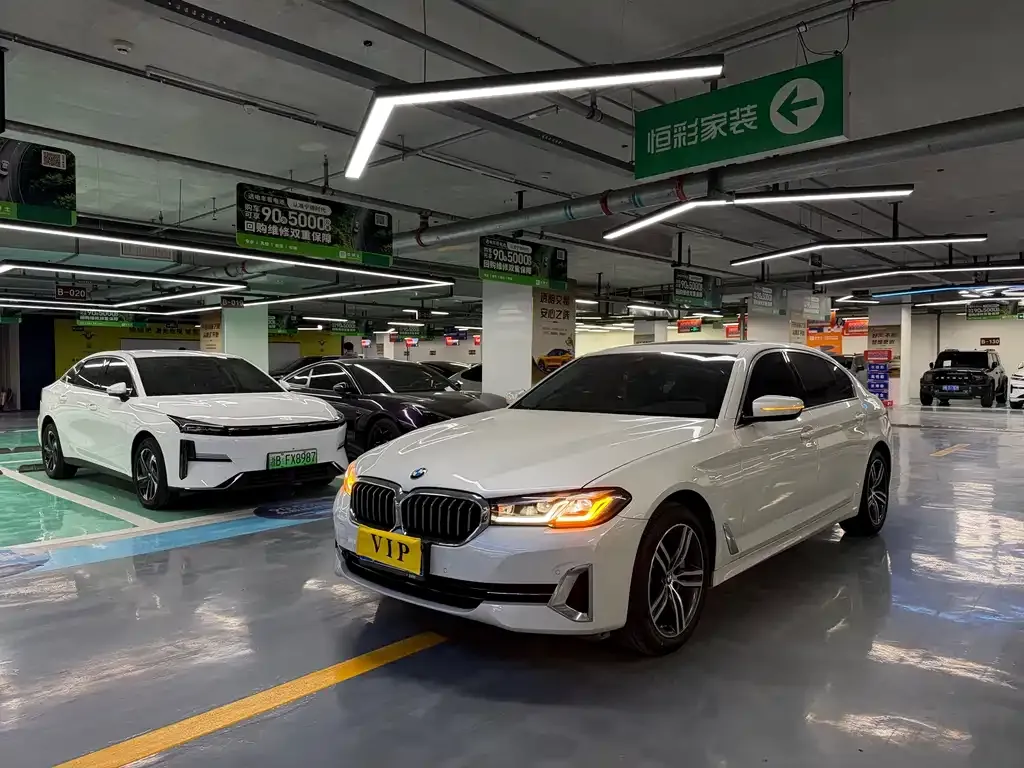 BMW 5 Series (Import)