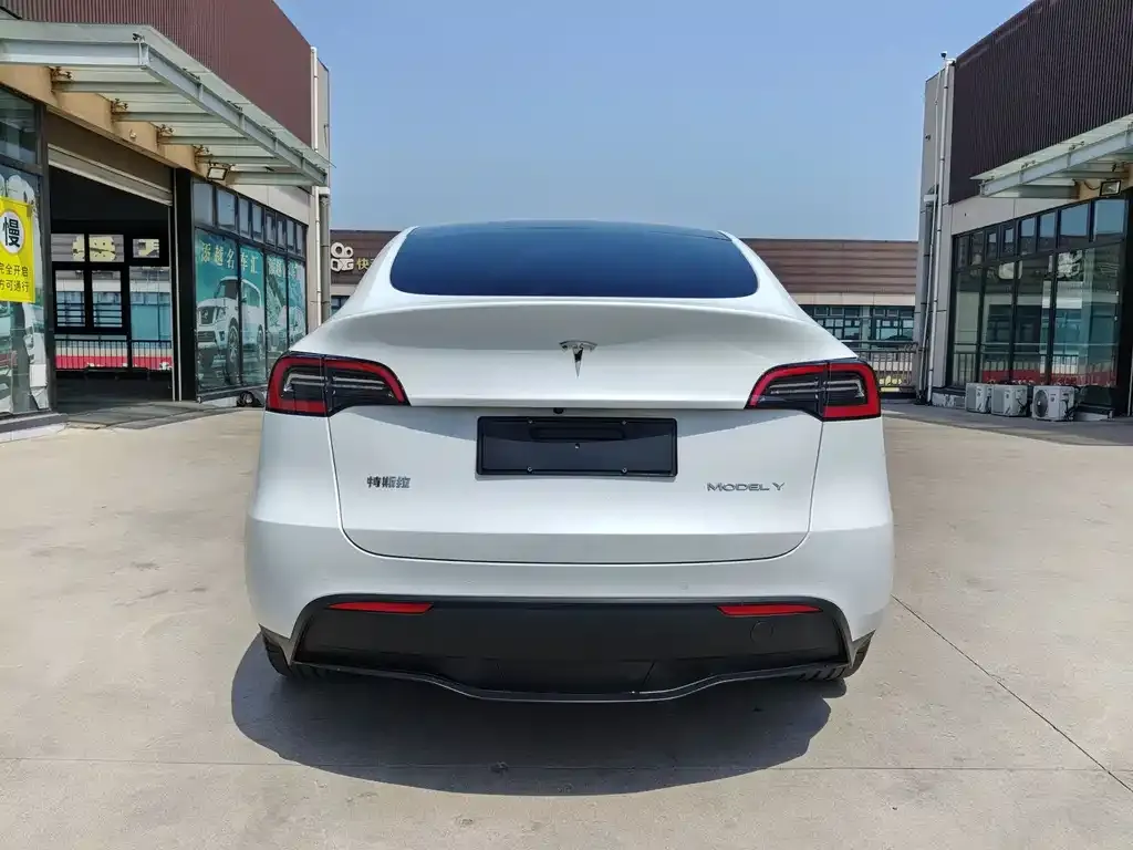 Tesla Model Y — фото 8