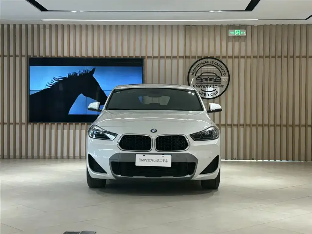 BMW X2 2022 из CN, фото 7