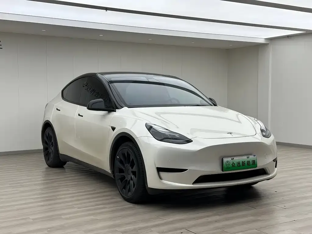 Tesla Model Y — фото 4