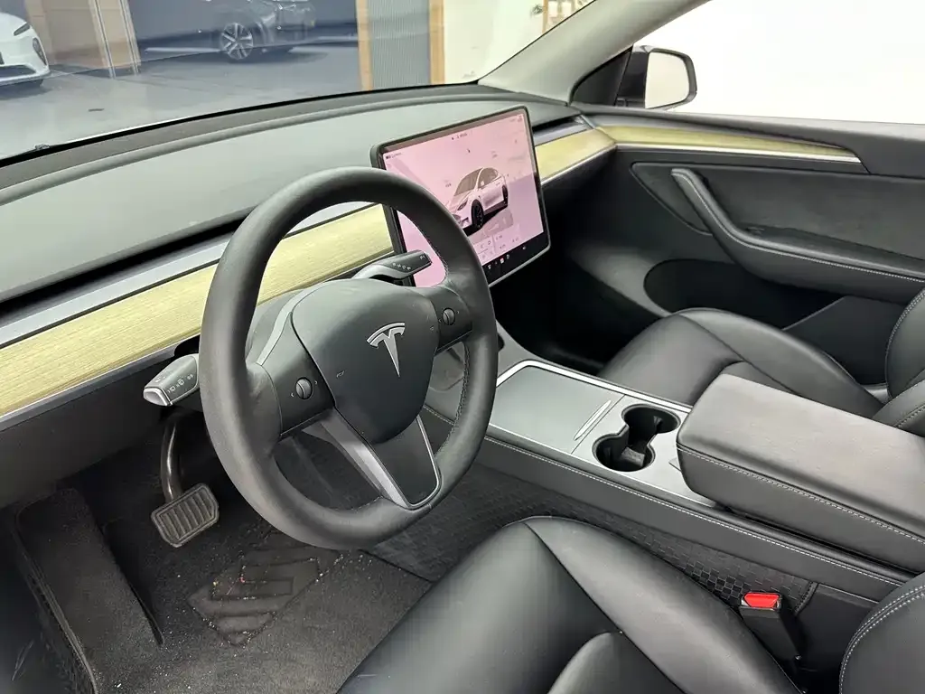 Tesla Model Y — фото 10